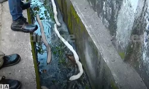 Diesel leakage from HPCL depot Diesel leakage from HPCL depot