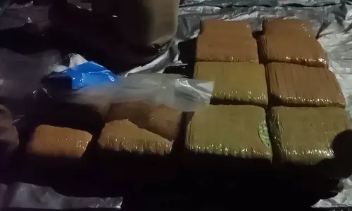 തൃശൂരിൽ വൻ കഞ്ചാവ് വേട്ട; പിടികൂടിയത് 80 കിലോ