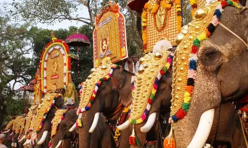 പൂരങ്ങൾ പ്രൗഢിയോടെ നടത്തണമെന്ന് സർക്കാർ; ആന എഴുന്നെള്ളിപ്പ് ഉത്തരവിനെതിരെ മുഖ്യമന്ത്രി ഉന്നതതലയോഗം വിളിക്കും