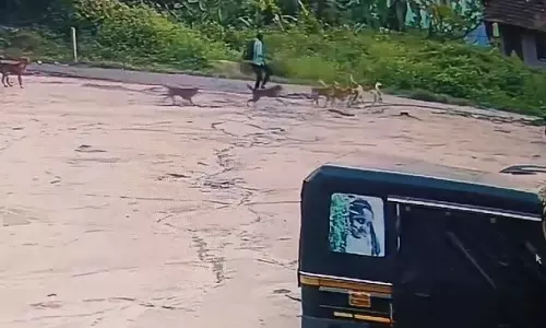 കൽപ്പറ്റ നഗരത്തിൽ തെരുവുനായ ശല്യം; യുവാവിനുനേരെ കൂട്ടത്തോടെ പാഞ്ഞടുത്ത് നായകൾ