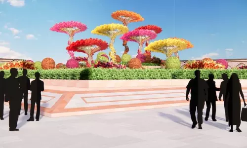 കാഴ്ചയുടെ വസന്തവുമായി പ്രഥമ മസ്‌കത്ത് ഫ്ലവർ ഫെസ്റ്റിവൽ വരുന്നു