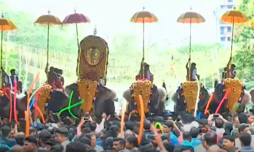 ആന എഴുന്നള്ളിപ്പ്, വെടിക്കെട്ട്; പുതിയ ചട്ടങ്ങൾ പ്രതിസന്ധിയെന്ന് സംരക്ഷണസമിതി ആന എഴുന്നള്ളിപ്പ്, വെടിക്കെട്ട്; പുതിയ ചട്ടങ്ങൾ പ്രതിസന്ധിയെന്ന് സംരക്ഷണസമിതി