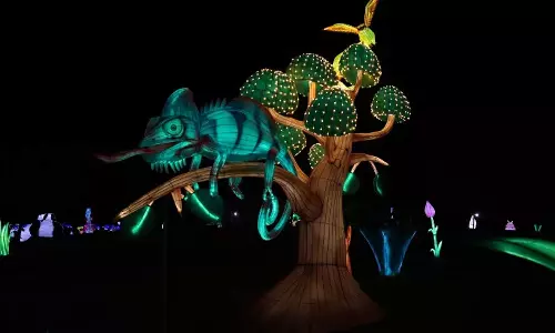 ജുബൈലില്‍ വണ്ടർ ഹിൽസ് ശൈത്യകാല ഉത്സവത്തിന് തുടക്കം