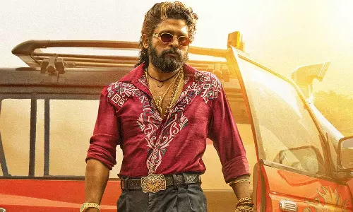 പുഷ്പ 2 സിനിമയുടെ ഹിന്ദി പതിപ്പ് യൂട്യൂബിൽ; ഇതിനോടകം 25 ലക്ഷത്തിലധികം പേരാണ് ചിത്രം കണ്ടത്