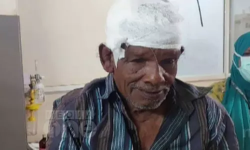 കോഴിക്കോട് കാട്ടുപന്നി ആക്രമണം; 72കാരന് തലയ്ക്ക് പരിക്കേറ്റു