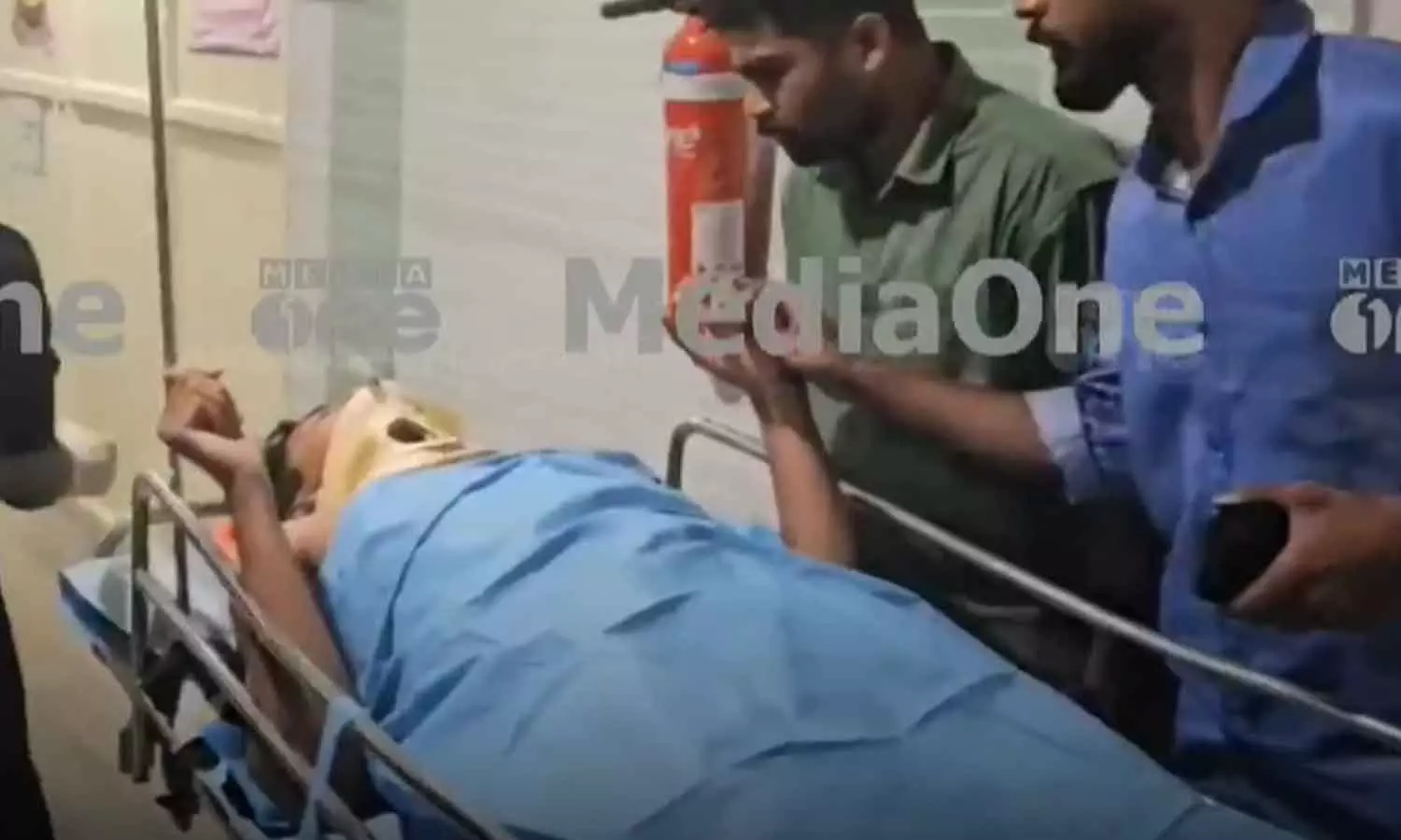 Students injured after palm tree fell on them