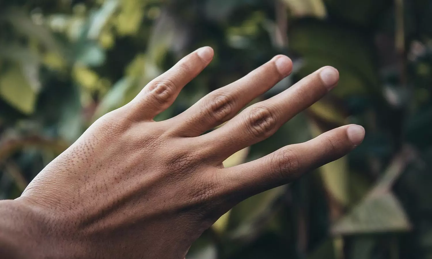 ജോലിയിൽ തുടരാൻ താൽപര്യമില്ല; ഗുജറാത്തിൽ വിരലുകൾ മുറിച്ചുമാറ്റി യുവാവ് ജോലിയിൽ തുടരാൻ താൽപര്യമില്ല; ഗുജറാത്തിൽ വിരലുകൾ മുറിച്ചുമാറ്റി യുവാവ്