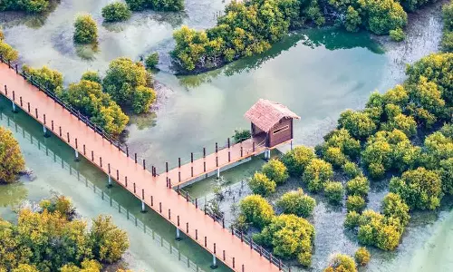 ഭൂവിസ്തൃതിയുടെ 30 ശതമാനം നേച്വർ റിസർവായി പ്രഖ്യാപിക്കുമെന്ന് ഖത്തർ