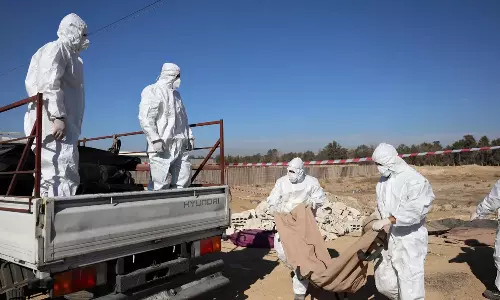 syria deadbody syria deadbody