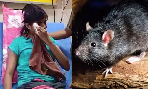 എലി കടിച്ചു, വാക്‌സിൻ എടുത്ത പെൺകുട്ടിയുടെ കൈകാലുകൾ തളർന്നതായി റിപ്പോർട്ട്