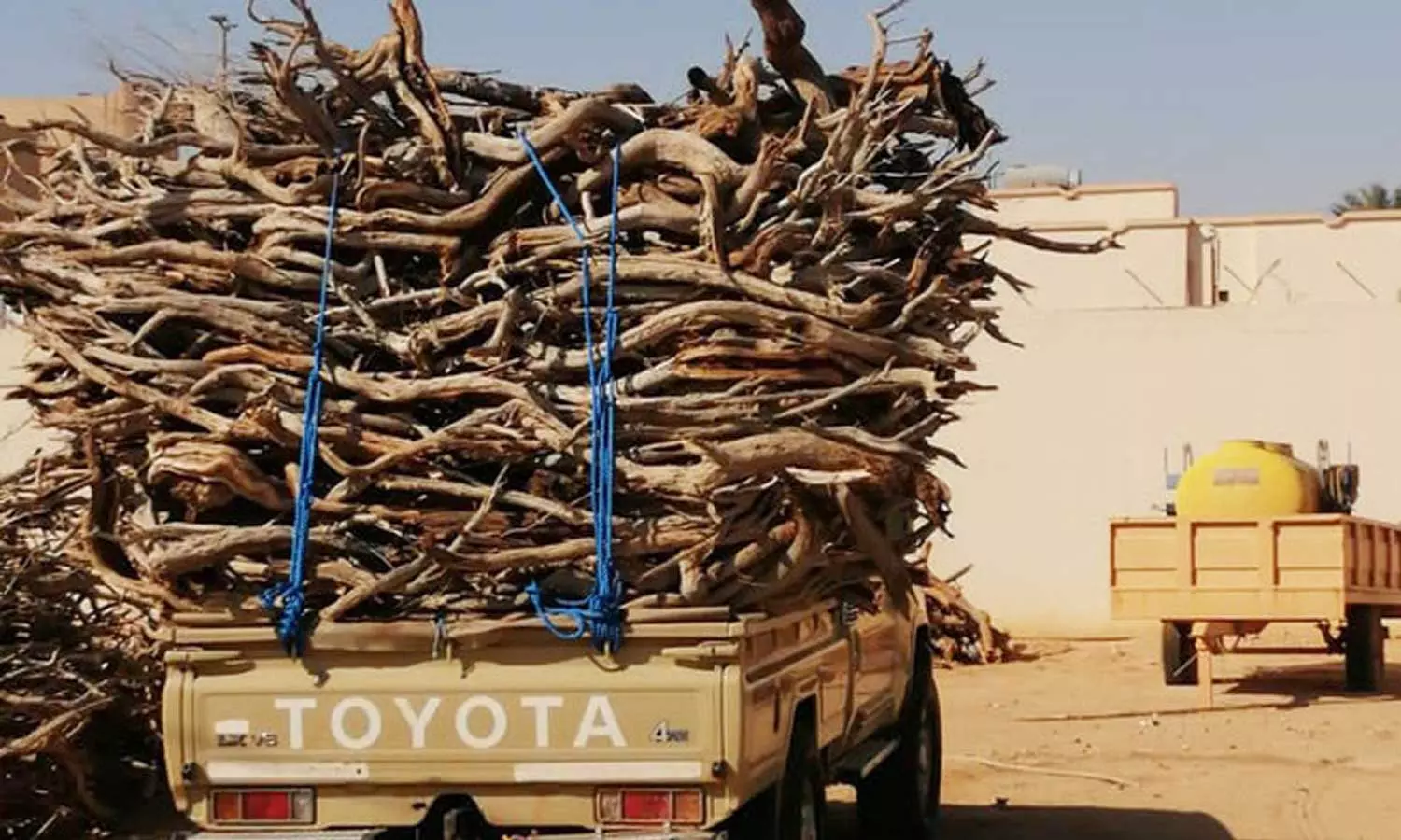 സൗദിയിൽ പ്രാദേശിക വിറകുകൾ ഉപയോഗിക്കുന്നതിന് വിലക്ക്