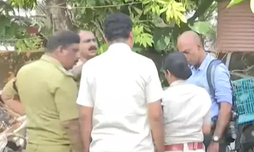 son creamates mother body