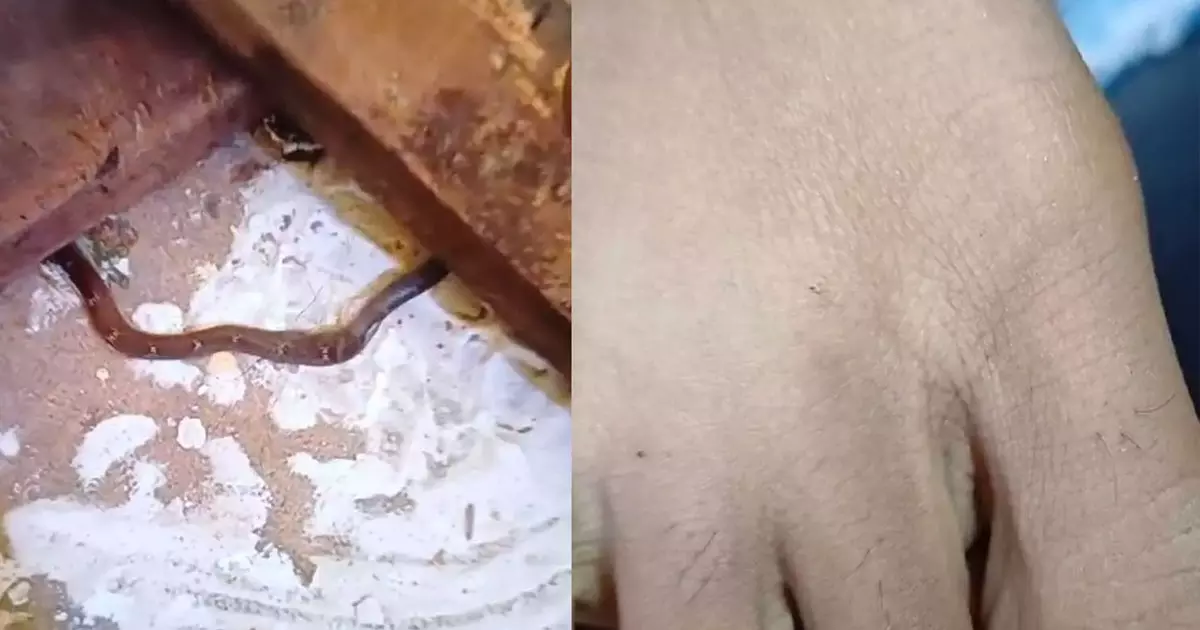 V Sivankutty, വി ശിവൻകുട്ടി V Sivankutty, വി ശിവൻകുട്ടി