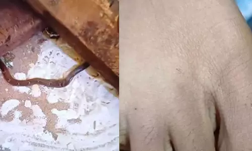 V Sivankutty, വി ശിവൻകുട്ടി