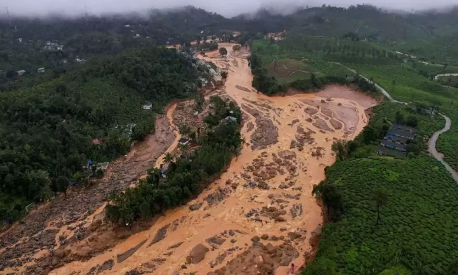 mundakai rehabilitation