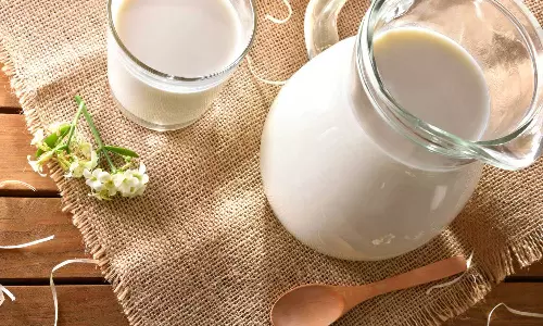 ലിറ്ററിന് 20 ഡോളര്‍; സൗദി ഉൽപാദിപ്പിക്കുന്ന ഒട്ടകപ്പാലിന് ആഗോള വിപണിയില്‍ പ്രിയമേറുന്നു