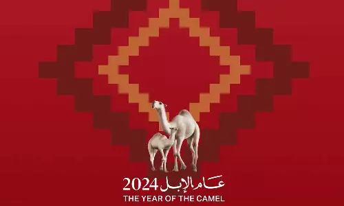 The Closing Festival of the “Year of the Camel” Kicks Off in Riyadh Tomorrow The Closing Festival of the “Year of the Camel” Kicks Off in Riyadh Tomorrow