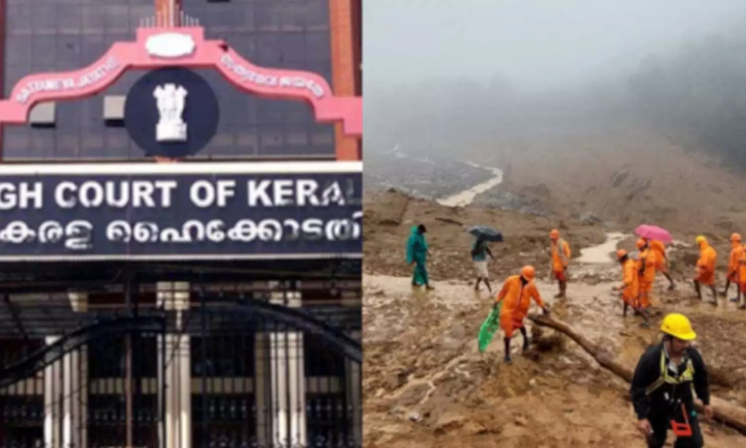 മുണ്ടക്കൈ ടൗൺഷിപ്പിനായി ഭൂമി ഏറ്റെടുക്കാമെന്ന് ഹൈക്കോടതി; എസ്റ്റേറ്റ് ഉടമകളുടെ ഹരജി തള്ളി മുണ്ടക്കൈ ടൗൺഷിപ്പിനായി ഭൂമി ഏറ്റെടുക്കാമെന്ന് ഹൈക്കോടതി; എസ്റ്റേറ്റ് ഉടമകളുടെ ഹരജി തള്ളി