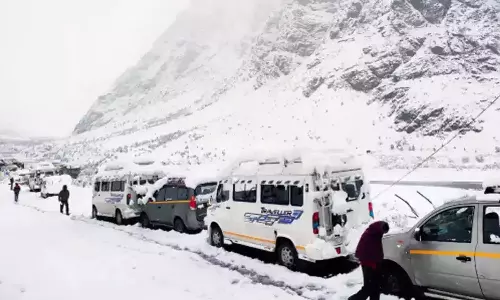 manali snowfall