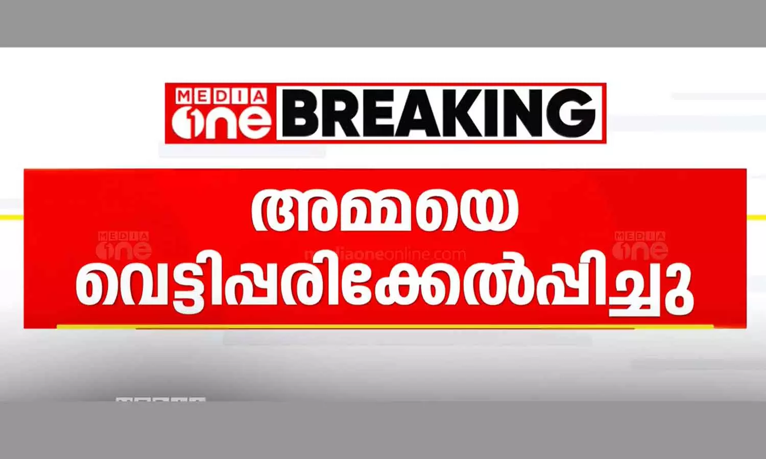 Son attacked mother Kollam Son attacked mother Kollam