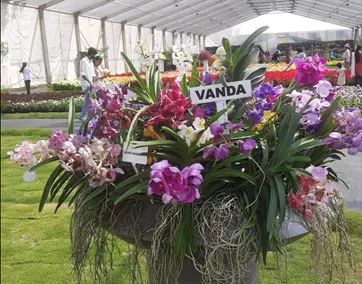 cochin flower show