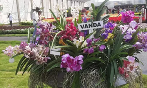 കൊച്ചിയിൽ ഫ്‌ലവർഷോ കാണാനെത്തിയ സ്ത്രീ വീണ് പരിക്കേറ്റ സംഭവം; സംഘാടകർക്കെതിരെ കേസ്