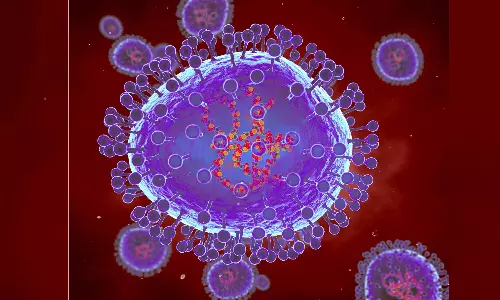 Ministry of Health says there is no need to worry about the spread of HMPV