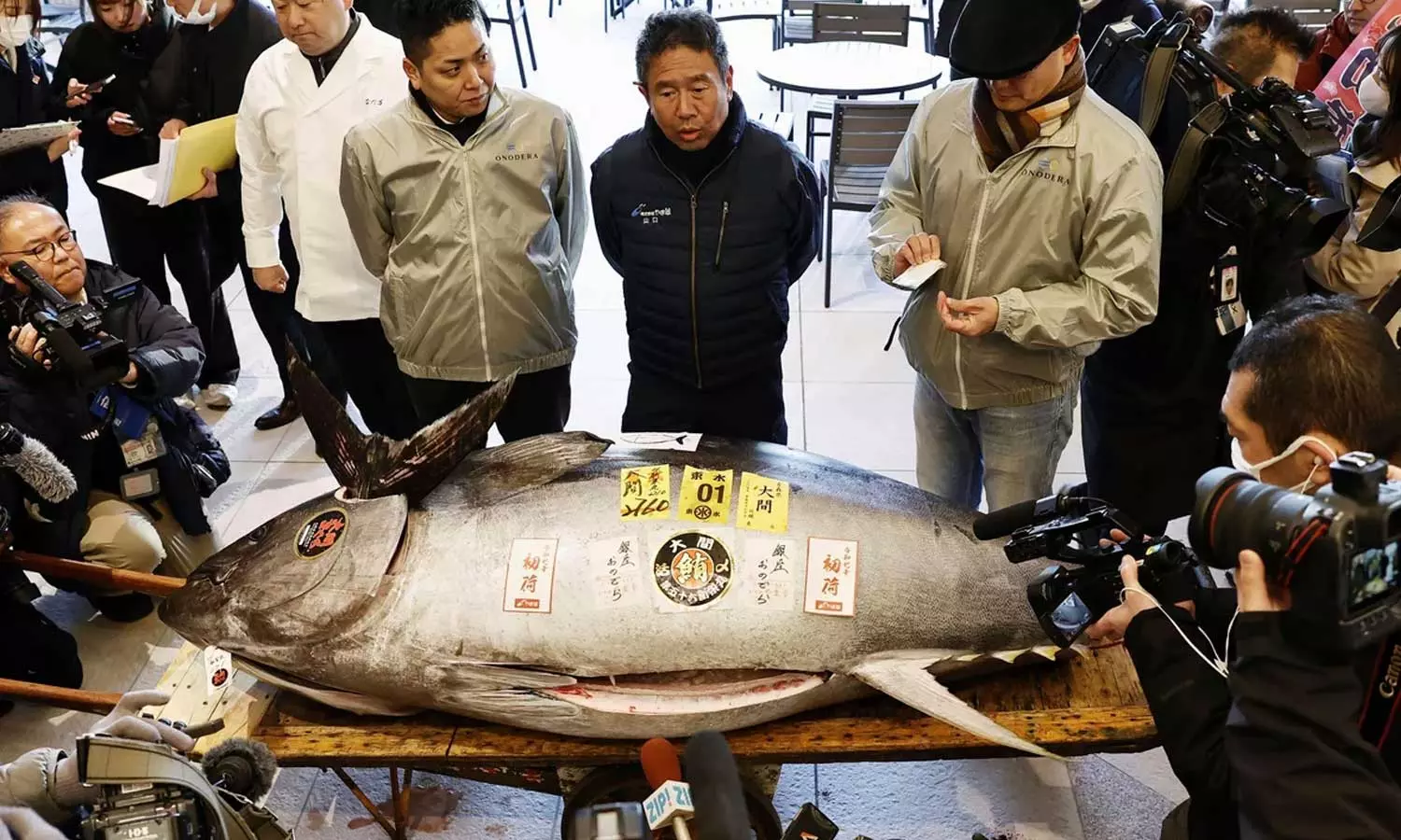 276 കിലോ ഭാരം, മോട്ടോര്‍ സൈക്കിളിന്‍റെ വലിപ്പം; ഒരൊറ്റ ട്യൂണ ലേലത്തിൽ വാരിയത് 11 കോടി രൂപ!