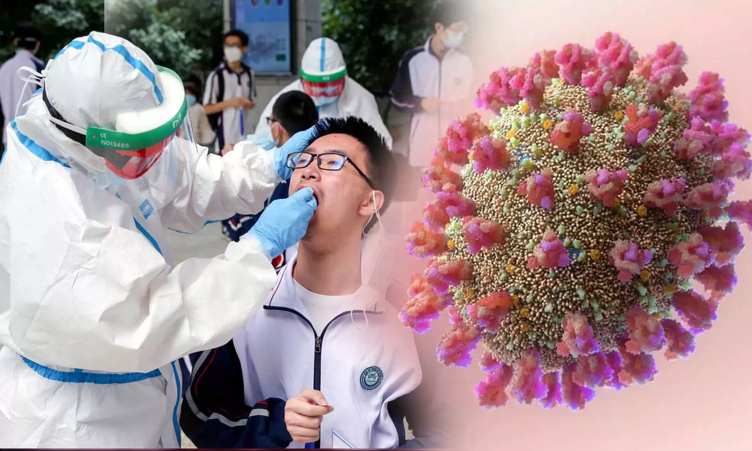 എച്എംപി വൈറസ്; കരുതലും പ്രതിരോധവും എച്എംപി വൈറസ്; കരുതലും പ്രതിരോധവും