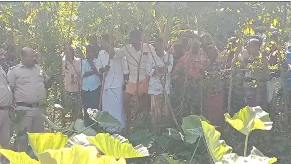 farmer died farmer died