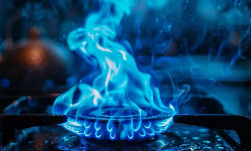 കടല അടുപ്പത്തുവെച്ച് കിടന്നുറങ്ങി; പുക ശ്വസിച്ച് യുവാക്കൾക്ക് ദാരുണാന്ത്യം