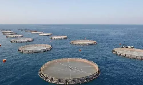 മത്സ്യബന്ധന സൂചികയിൽ ശ്രദ്ധേയമായ മുന്നേറ്റവുമായി ഒമാൻ