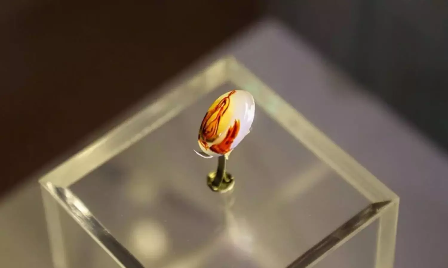 ഡിവൈൻ ക്രിയേറ്റിവിറ്റി; ഖത്തറിൽ അപൂർവയിനം കല്ലുകളുടെ പ്രദർശനം ഡിവൈൻ ക്രിയേറ്റിവിറ്റി; ഖത്തറിൽ അപൂർവയിനം കല്ലുകളുടെ പ്രദർശനം