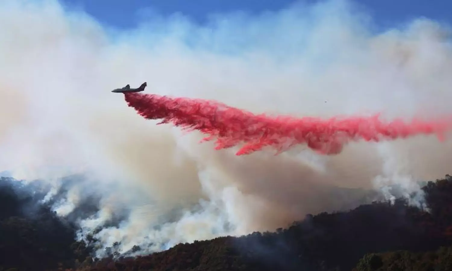 ലോസ് ആഞ്ചലെസില്‍ കാട്ടുതീ അണക്കാൻ പിങ്ക് പൊടി; എന്താണ് ഫോസ്-ചെക്ക് ?