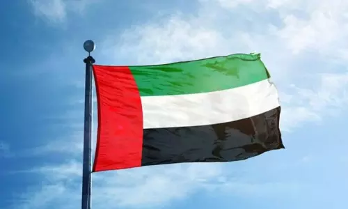 Special committee to strengthen Islamic finance and halal industry in UAE