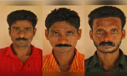 കുട്ടമ്പുഴ ആനവേട്ടക്കേസ്: പ്രതികൾക്ക് 4 വർഷം കഠിന തടവ്