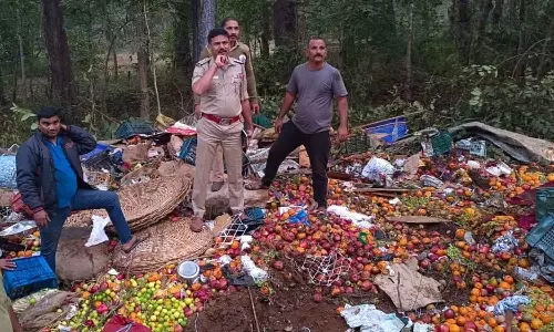 Karnataka Road Accident: 10 Killed