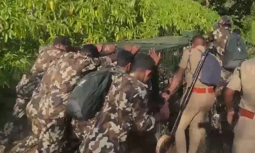 പഞ്ചാരക്കൊല്ലിയിലെ കടുവയുടെ സാന്നിധ്യം: നിരോധനാജ്ഞ പ്രഖ്യാപിച്ചു