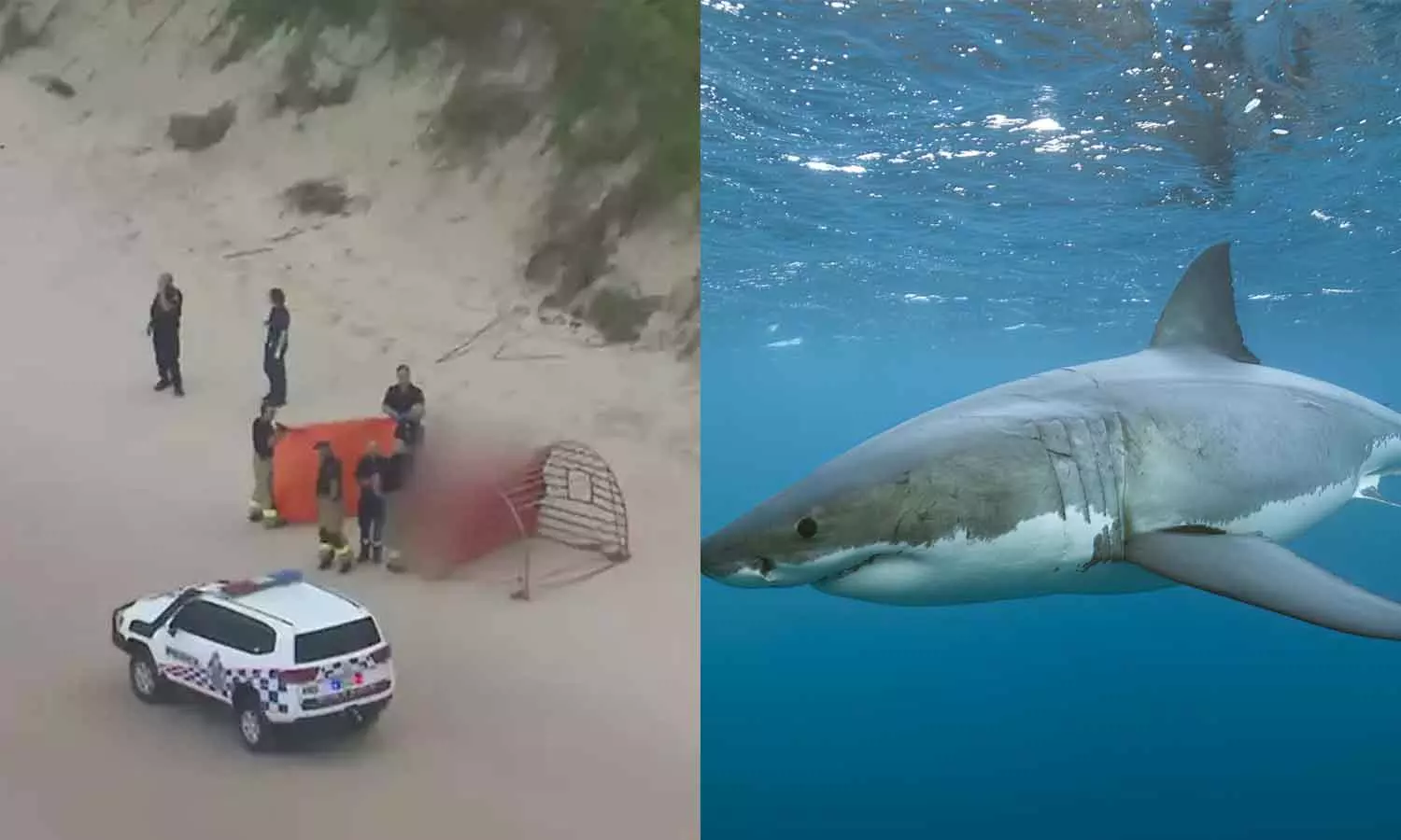 ആസ്ട്രേലിയയിൽ കടലിൽ നീന്തുന്നതിനിടെ സ്രാവിന്റെ ആക്രമണം; 17കാരി മരിച്ചു ആസ്ട്രേലിയയിൽ കടലിൽ നീന്തുന്നതിനിടെ സ്രാവിന്റെ ആക്രമണം; 17കാരി മരിച്ചു