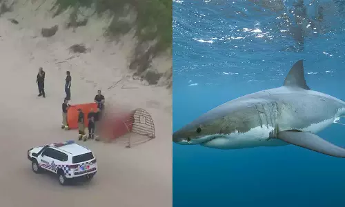 ആസ്ട്രേലിയയിൽ കടലിൽ നീന്തുന്നതിനിടെ സ്രാവിന്റെ ആക്രമണം; 17കാരി മരിച്ചു