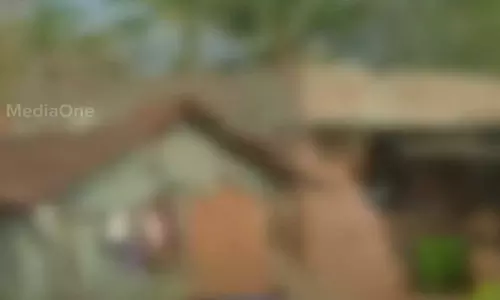 വാളയാർ കേസിൽ കുട്ടികളുടെ മരണം ആത്മഹത്യയാണെന്ന് സ്ഥാപിക്കാൻ വിചിത്രവാദങ്ങളുമായി സിബിഐ