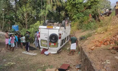 ആനമുളിയിൽ ട്രാവലർ മറിഞ്ഞ് അപകടം; പത്തോളം പേർക്ക് പരിക്ക്