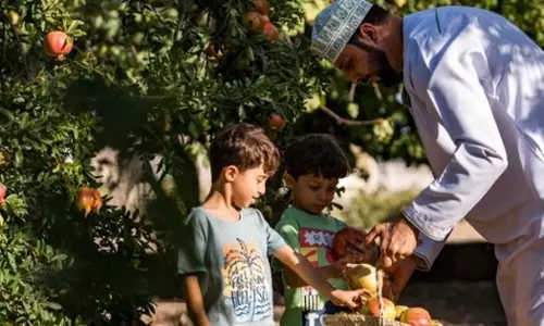 In 2024, more than two lakh visitors came to Jebel Akhdar, Oman