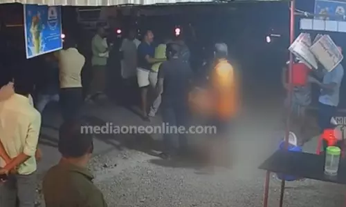 chicken broast ffight