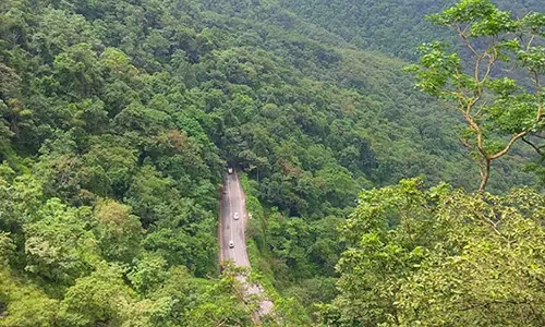 വനം വകുപ്പിന്റെ ഉന്നതതല യോഗം നാളെ