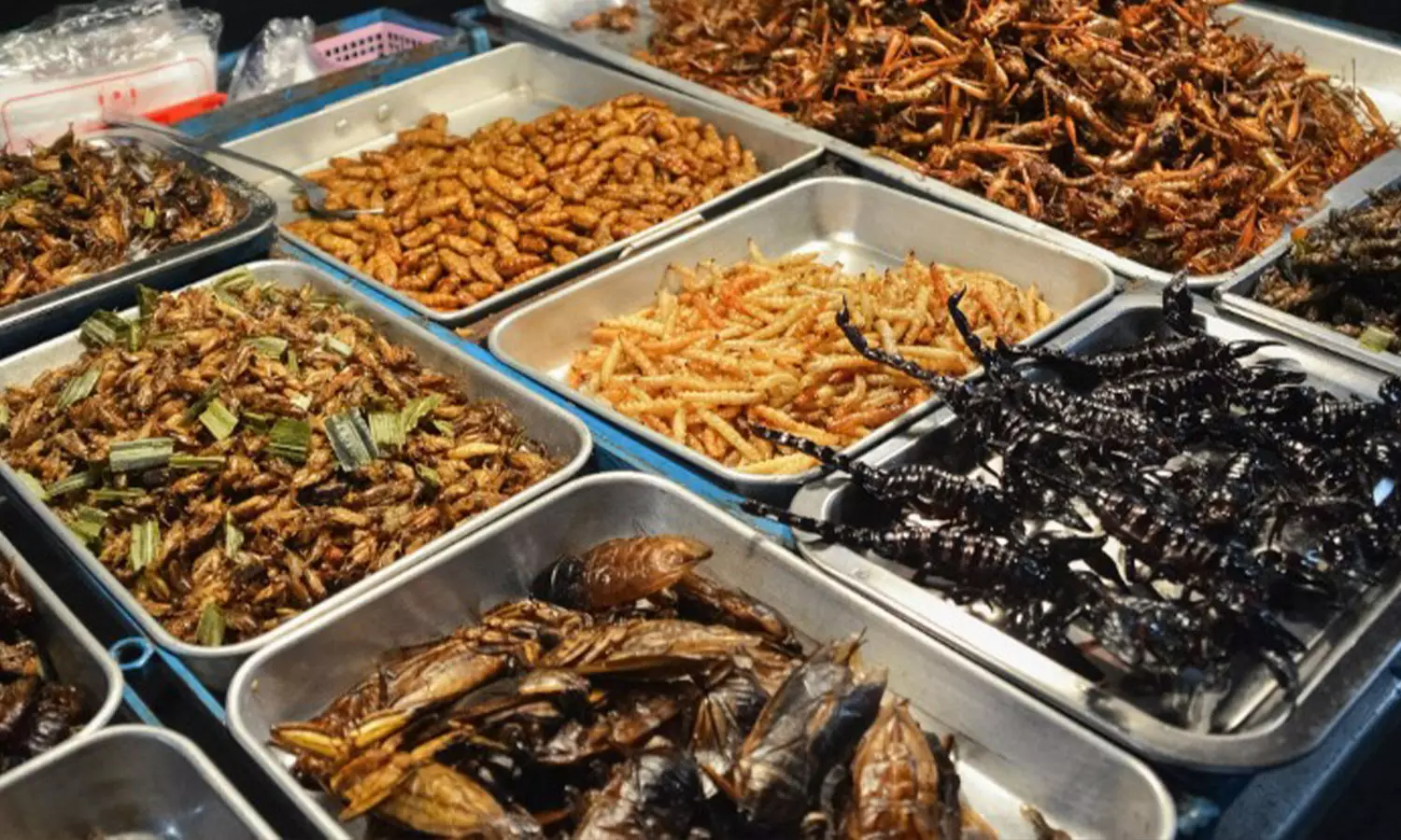 നമ്മുടെ മെനുവിൽ വേണ്ട; കുവൈത്തിൽ പ്രാണികളെ ഭക്ഷണമായി ഉപയോഗിക്കുന്നത് കർശനമായി നിരോധിച്ചു