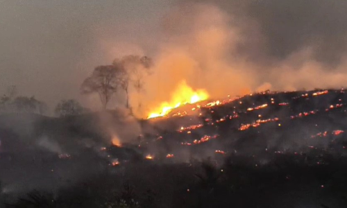 Kulathupuzha fire