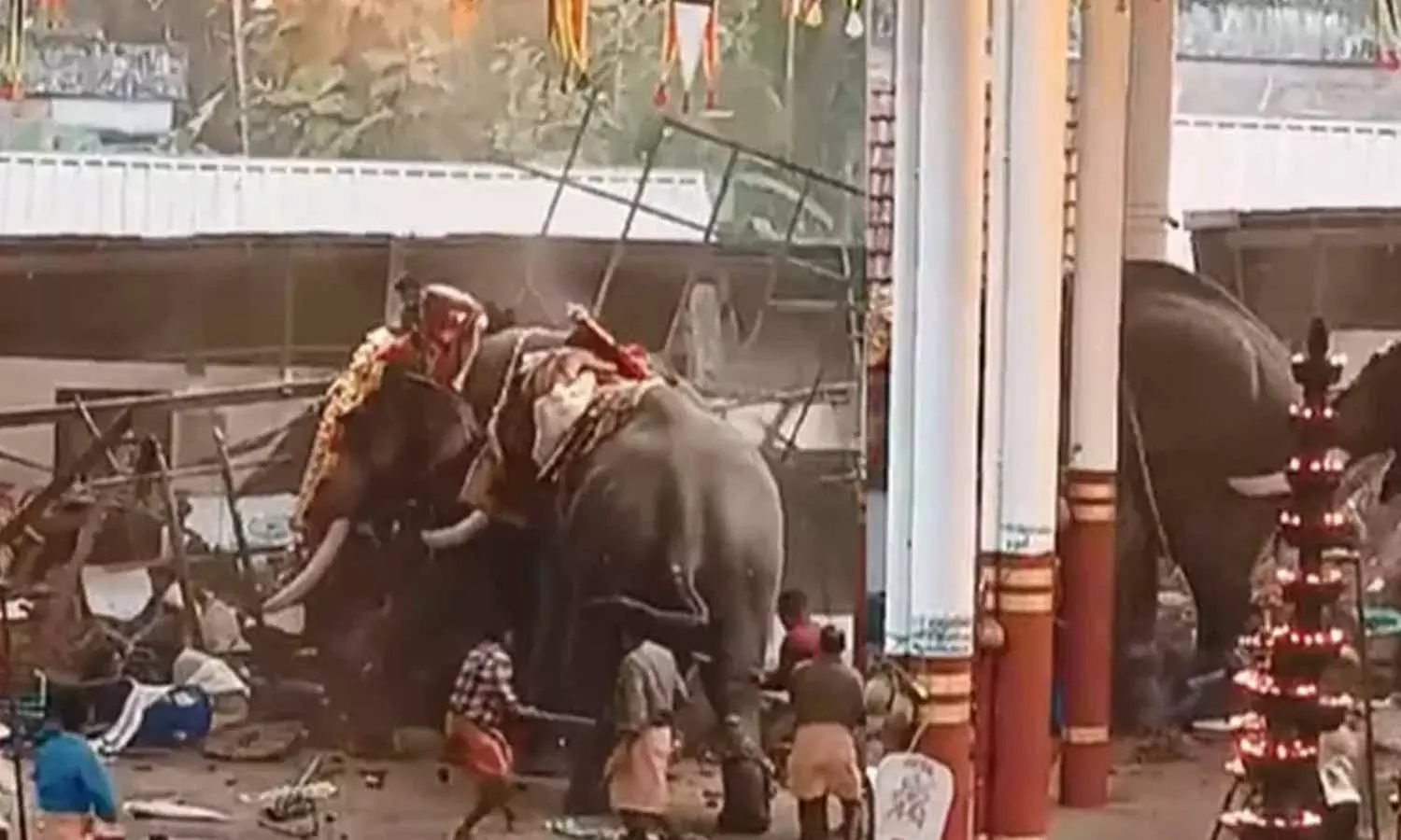 കൊയിലാണ്ടിയിൽ ആന ഇടഞ്ഞ സംഭവം; നാട്ടാനപരിപാലന ചട്ട ലംഘനമുണ്ടായെന്ന അന്വേഷണ റിപ്പോർട്ട് പുറത്ത്