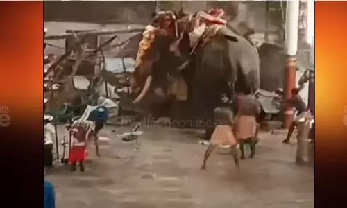 കൊയിലാണ്ടിയിൽ ഉത്സവത്തിനിടെ ആന ഇടഞ്ഞ സംഭവം; മൂന്ന് പേരുടെ പോസ്റ്റ്മോര്ട്ടം ഇന്ന് കൊയിലാണ്ടിയിൽ ഉത്സവത്തിനിടെ ആന ഇടഞ്ഞ സംഭവം; മൂന്ന് പേരുടെ പോസ്റ്റ്മോര്ട്ടം ഇന്ന്