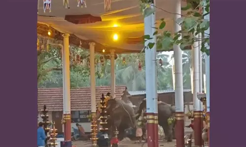 ഉത്സവത്തിന്റെ ആന ഇടഞ്ഞ സംഭവത്തിൽ ചട്ടലംഘനം നടന്നെന്ന് അന്വേഷണ റിപ്പോർട്ട്; നാട്ടാന പരിപാലന നിയമം ലംഘിച്ചു